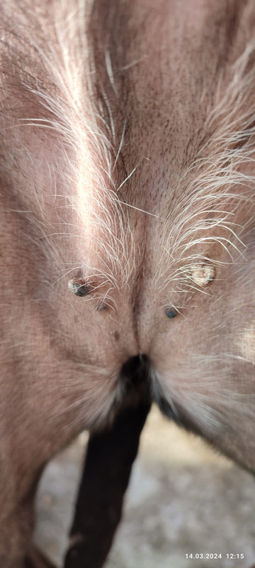 WhatsApp Image 2024-03-14 at 12.24.01 (2)