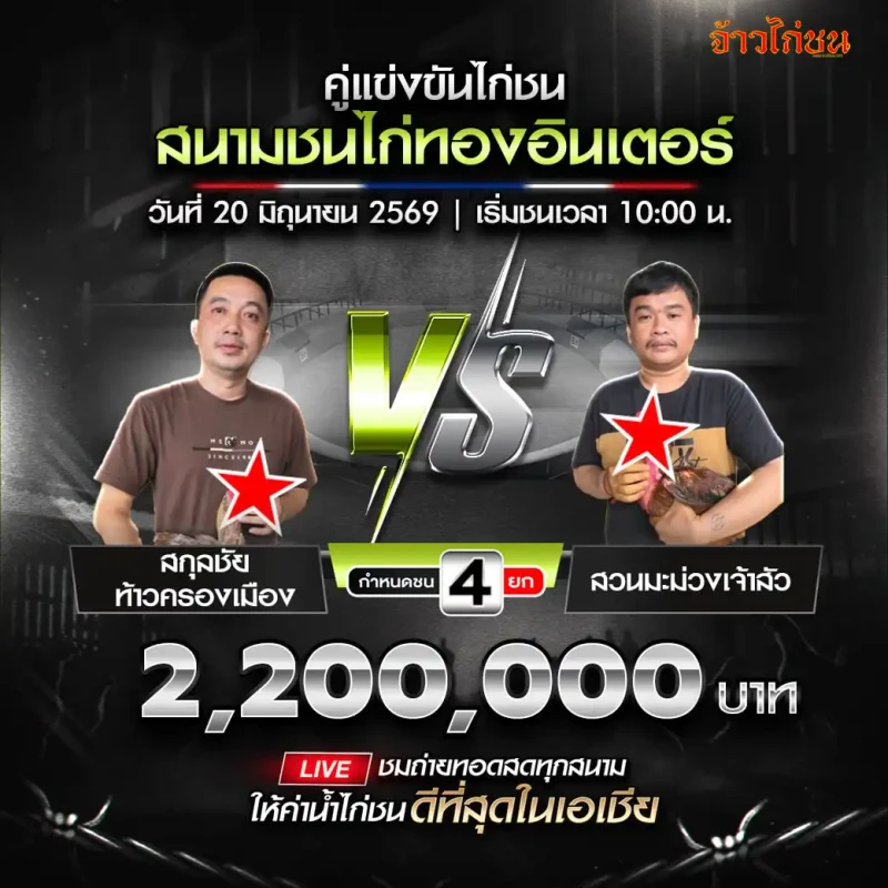 สกุลชัยท้าวครองเมือง พบ สวนมะม่วงเจ้าสัว โปรแกรมไก่ชน สนามชนไก่ทองอินเตอร์ 20 มิถุนายน