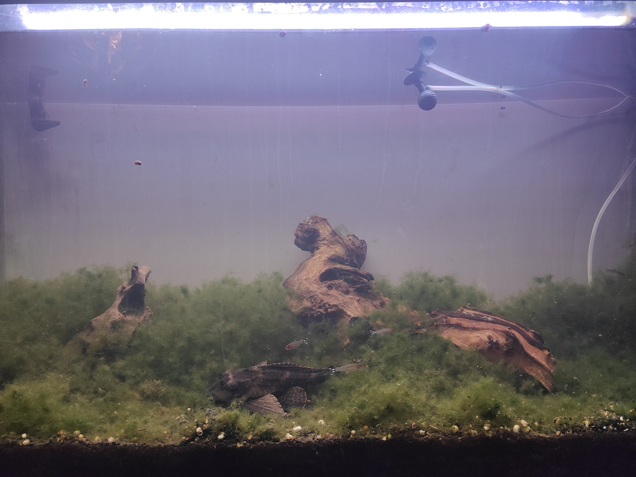 1769569941030965558831825441328