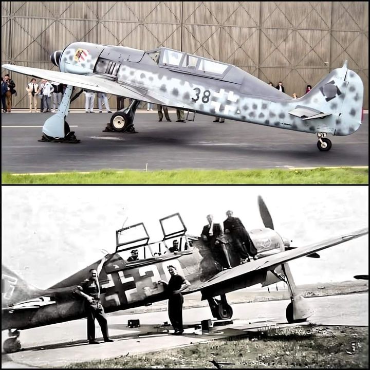 Fw 190 trouvé dans les bois en Russie Le-SEUL-Fw-190-biplace-survivant
