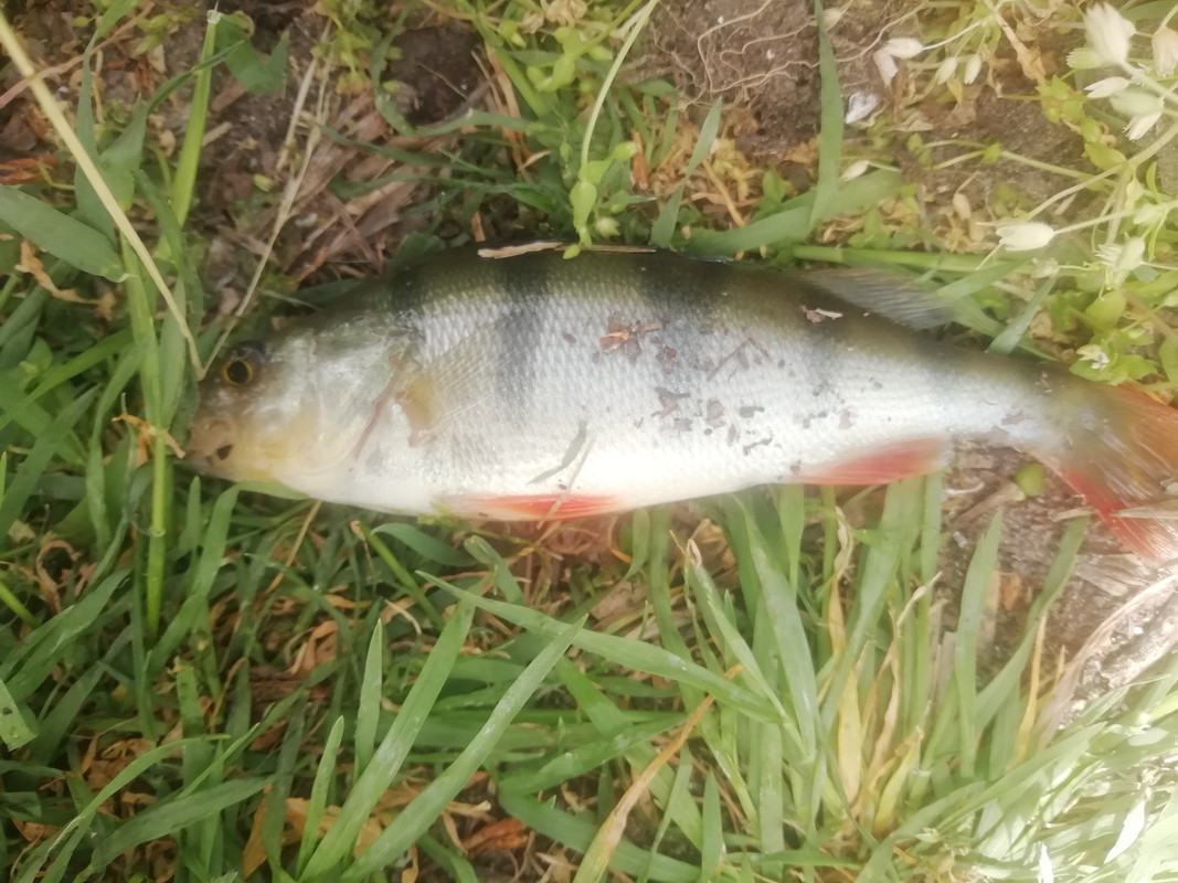 Изображение 1288