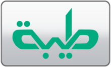 Tayba TV logo