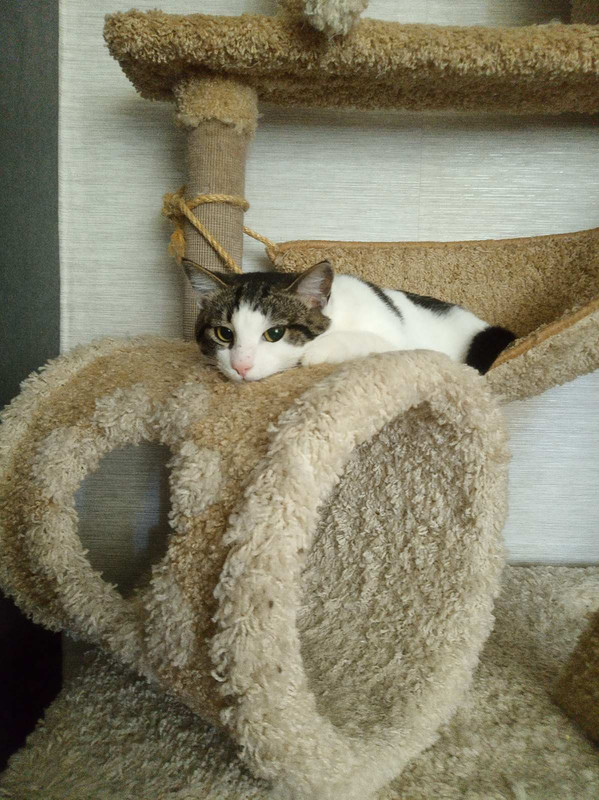 изображение_viber_2021-06-10_14-26-04-936