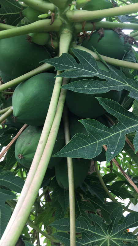 88593E23-F099-471E-9D5B-FA96919CB01C