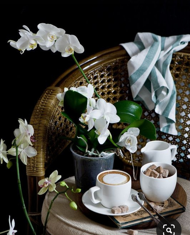 Screenshot_20230616_141511_Pinterest