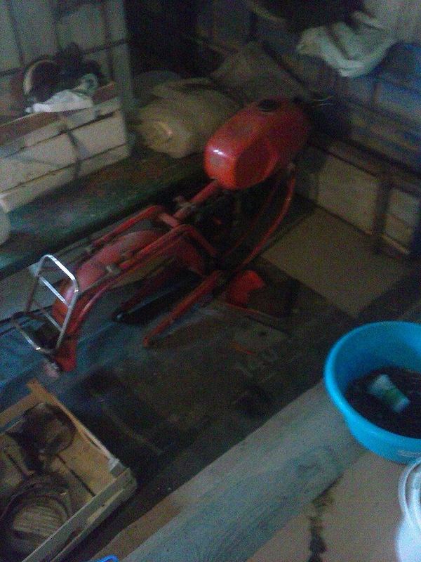 10557384_307674219412809_6842630830823078999_n