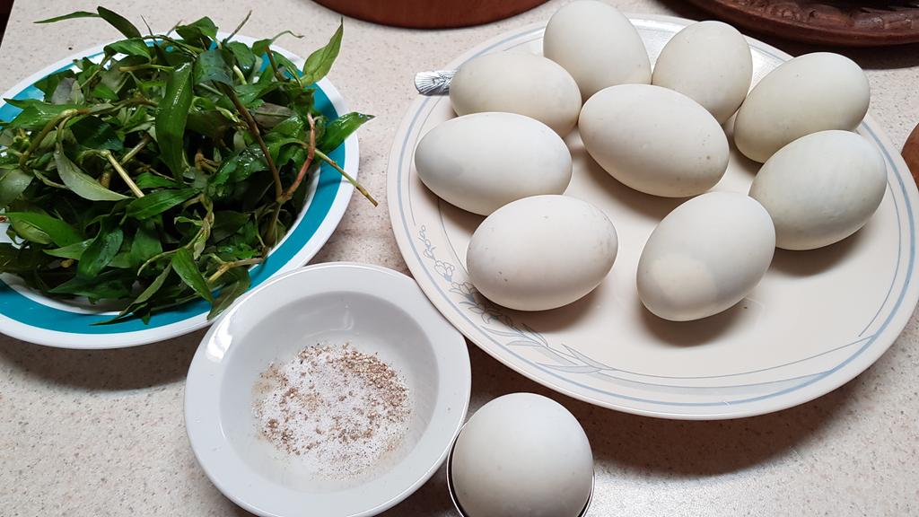 EmKay ơi, hùn tiền làm gà đi bộ hong? 20191119-143526