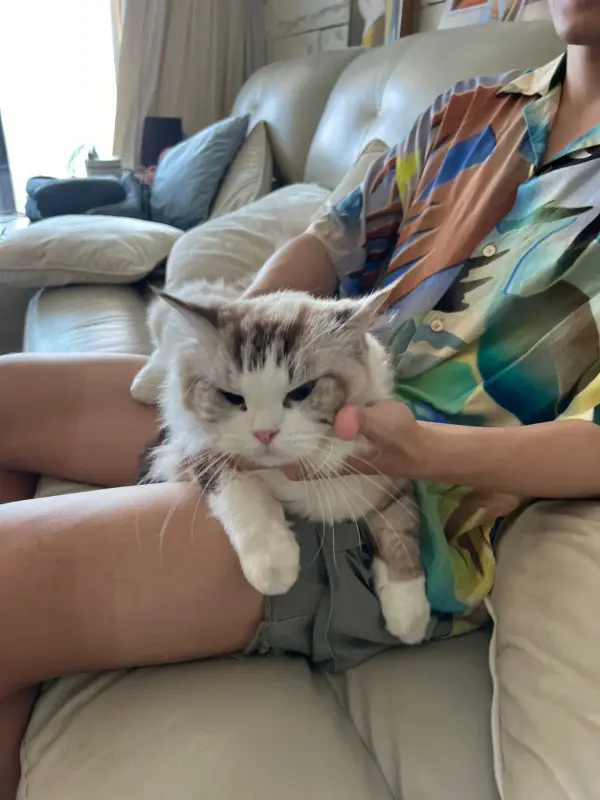 okOKAuuqQA6iErEBIrArKBAeA7LuuGe3WAfGrI~tplv-dy-aweme-images-v2_3000_3000_q75