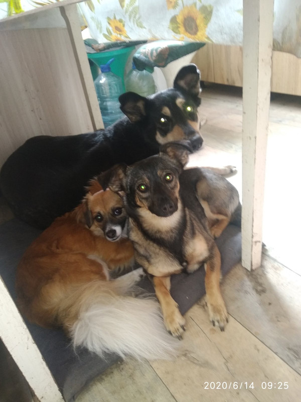 38F7268F-6261-46AF-93CA-90E4A92CD992