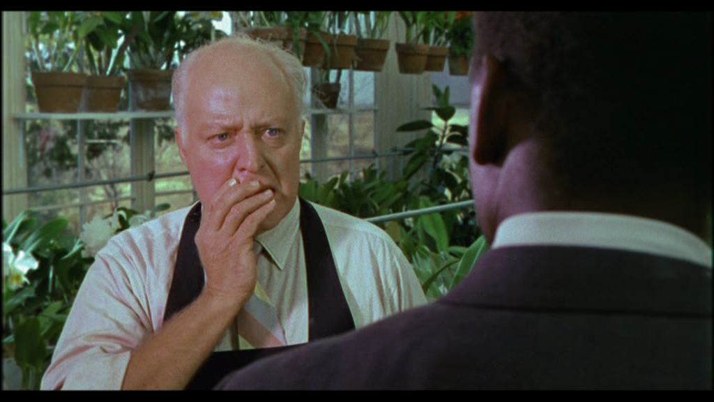 vlcsnap-2017-09-04-16h40m41s192