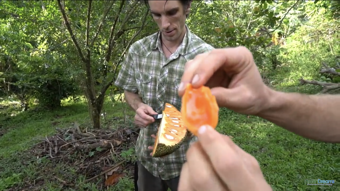 15876AF4-0F2F-4687-B278-9A097EA3DF91