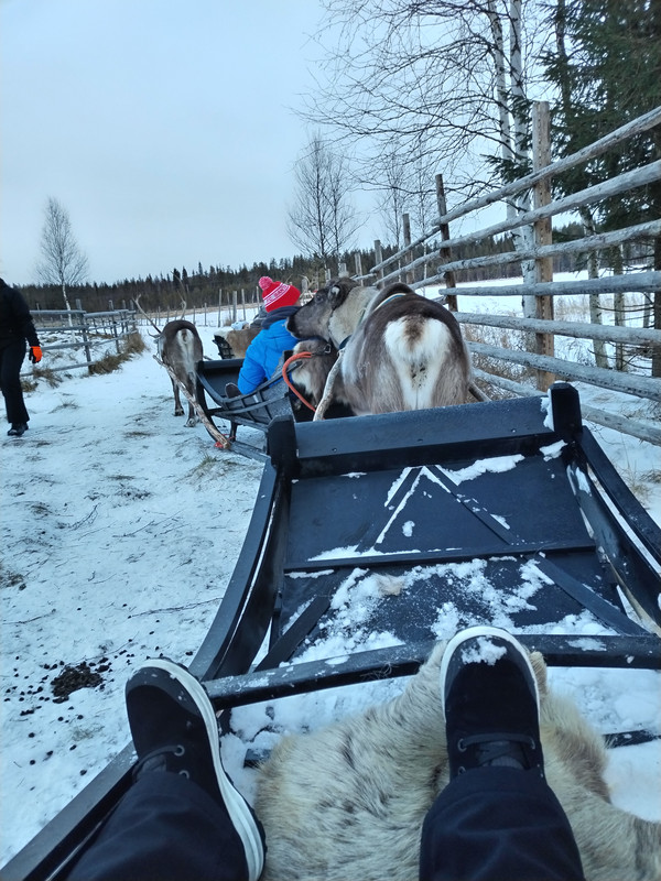Día 4. Renos, lago helado y Santa Claus Village – Viaje a Laponia con niñas - Viaje a Laponia con niñas - Finlandia 8 días (2)