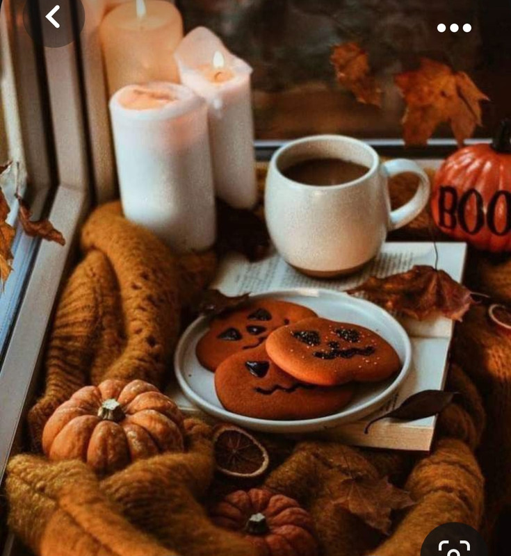 Screenshot_20231031_172543_Pinterest