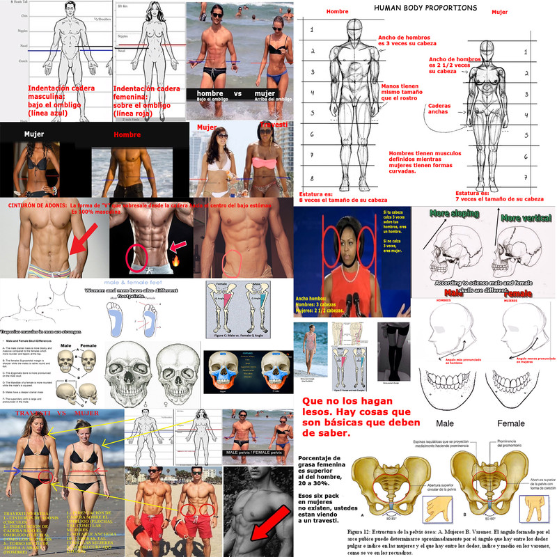 Medidas-trans-b-sico.jpg