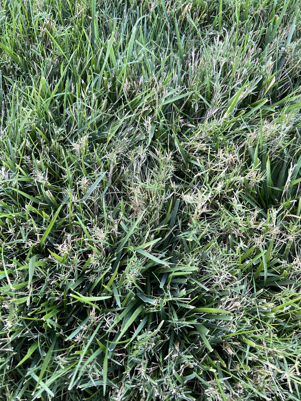 A8372E57-2B28-4DFB-9F7D-3F3E85DD143D