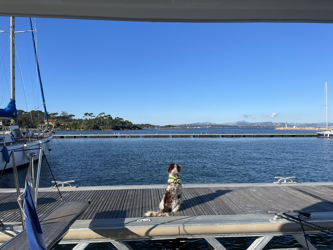 EA8EEE1B-1DE2-457F-8E59-3773850BD734