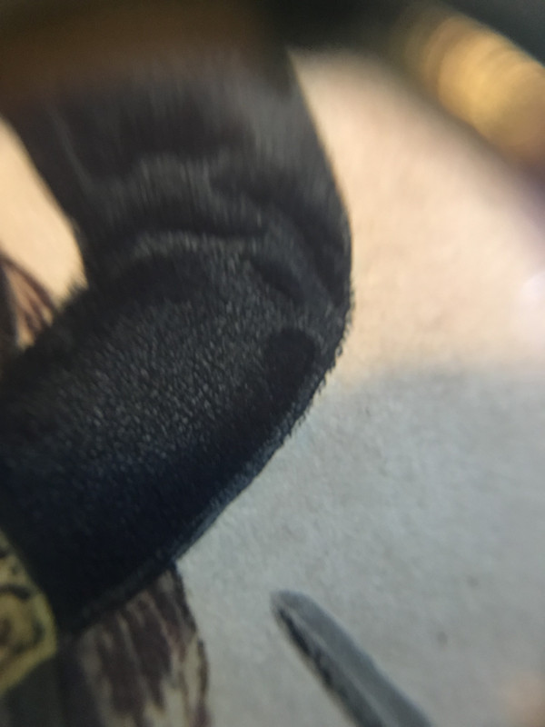 55E8E481-CB24-4C17-8B5A-9F3314AC431B