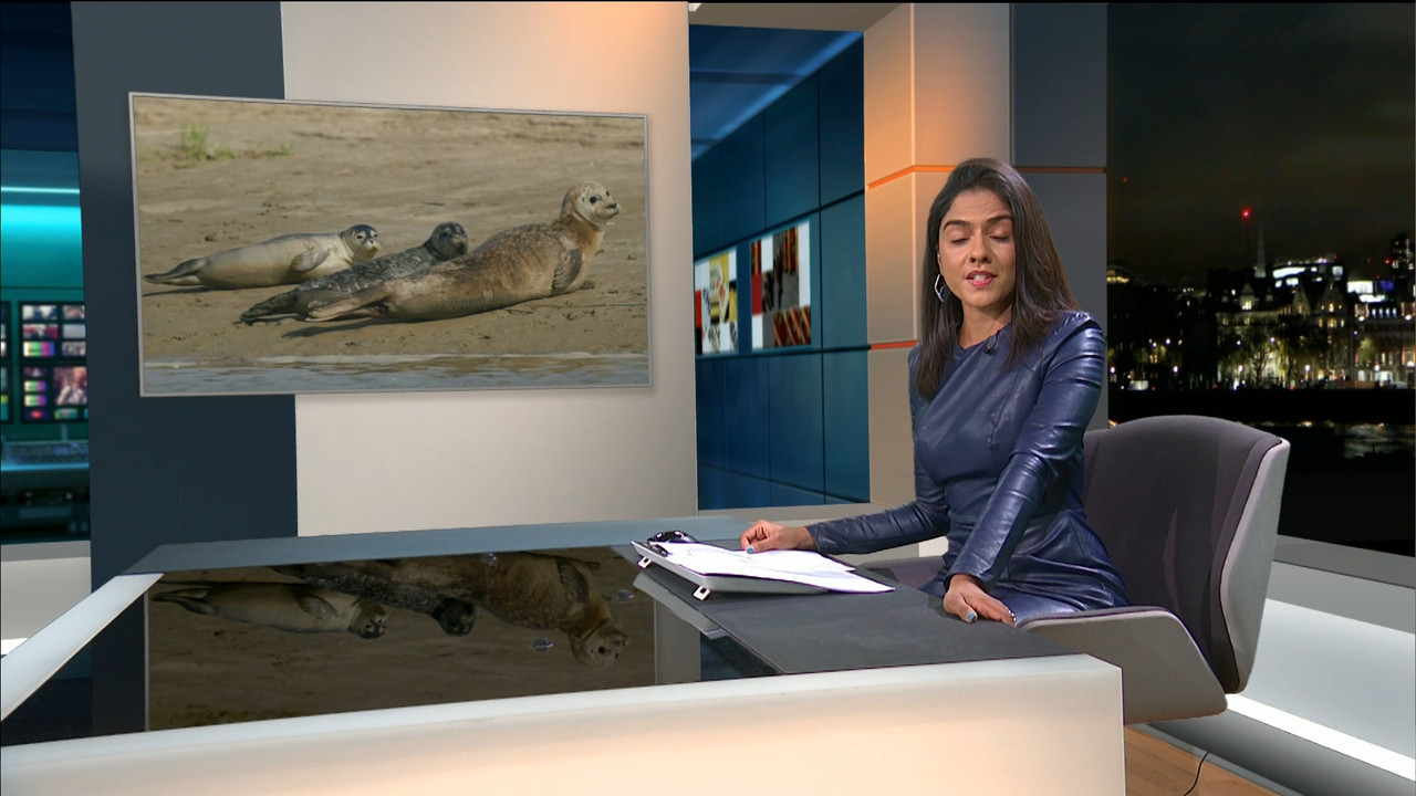 ITV News London_20210906_22302245.ts_snapshot_08.51.854