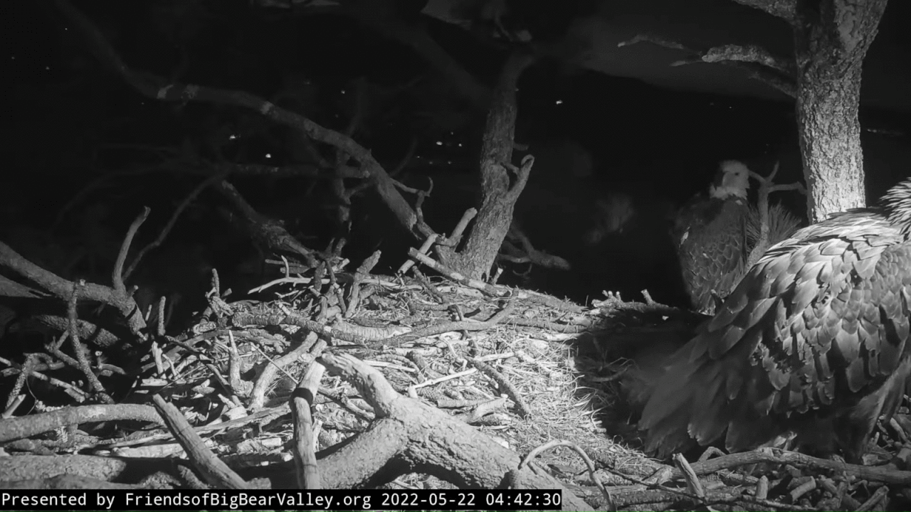 Webp.net-gifmaker (1)