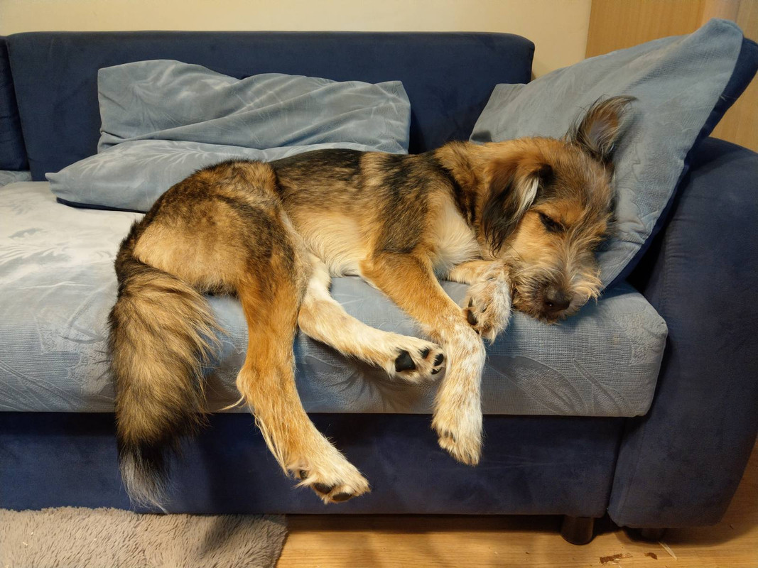 изображение_viber_2020-09-12_21-11-59