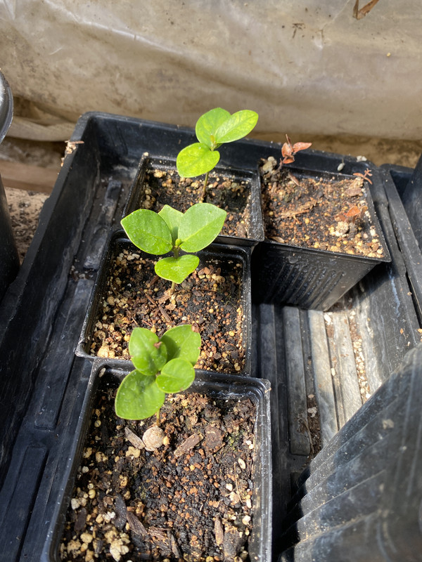 78A04DE5-BC50-40FD-B2FC-A8883DFEFD98