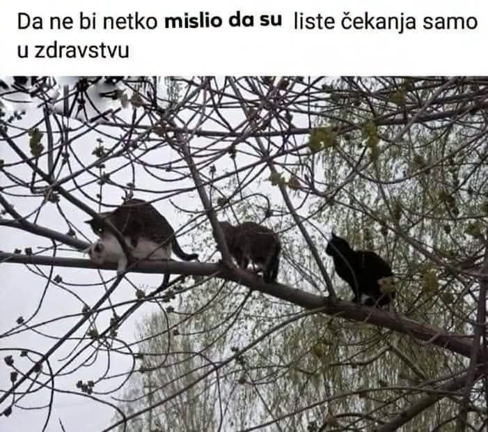 photo 2026 02 05 09 42 13