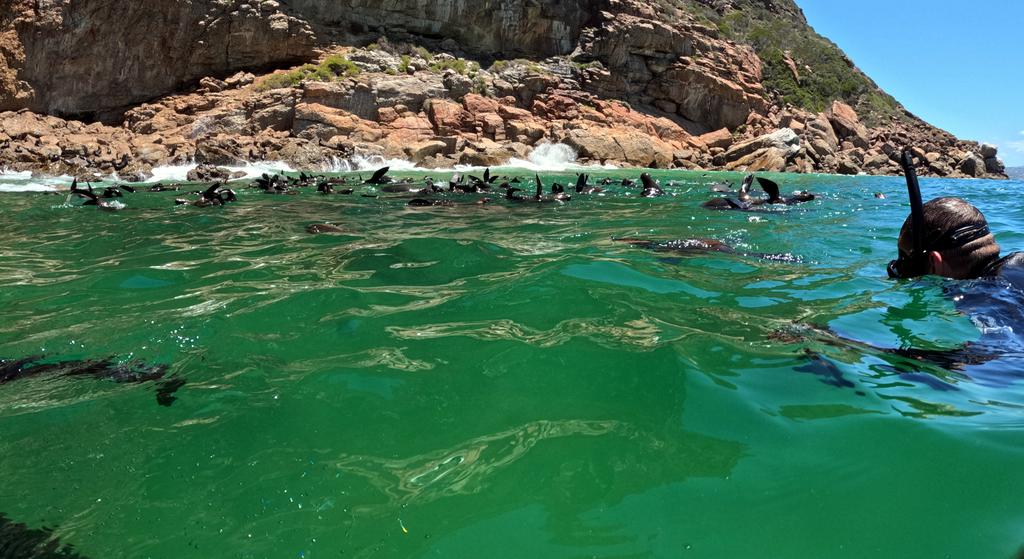 Такая близкая Африка. (ЮАР. 22 дня и 4200 км. Ноябрь-Декабрь)