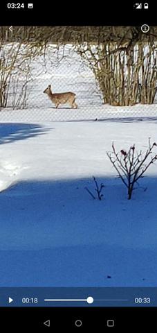 vartotojo �kelta nuotrauka