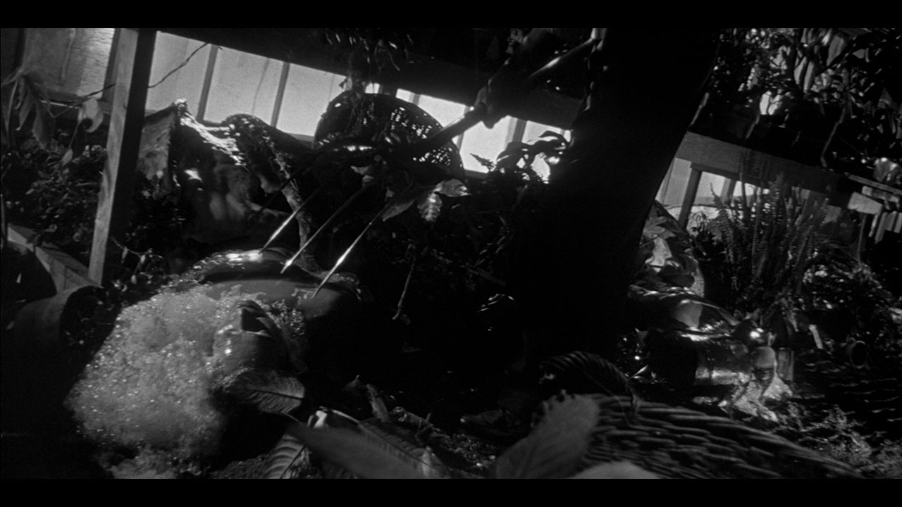 INVASION OF THE BODY SNATCHERS REFERENCE (6)