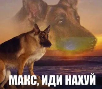Макс