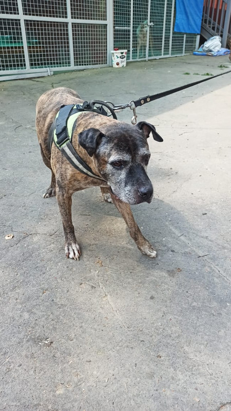 WhatsApp Image 2022-08-14 at 13.40.49 (1)