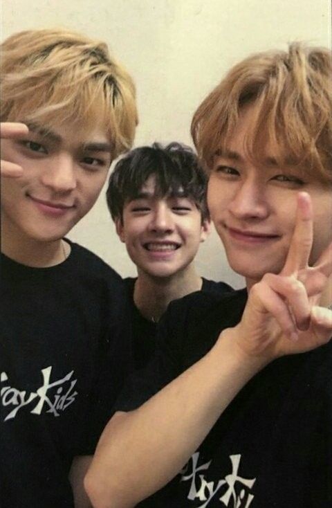 2e13044019eabe87161ef59fff7dbd85