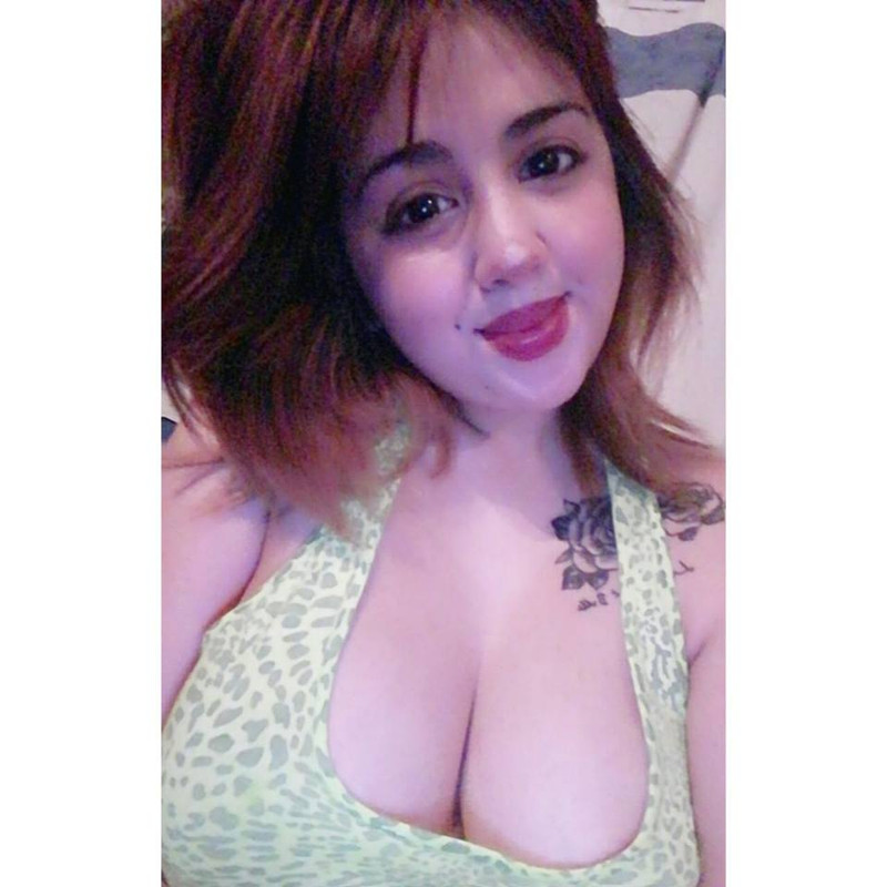 18581921_1502994313056363_5110262618266152162_n