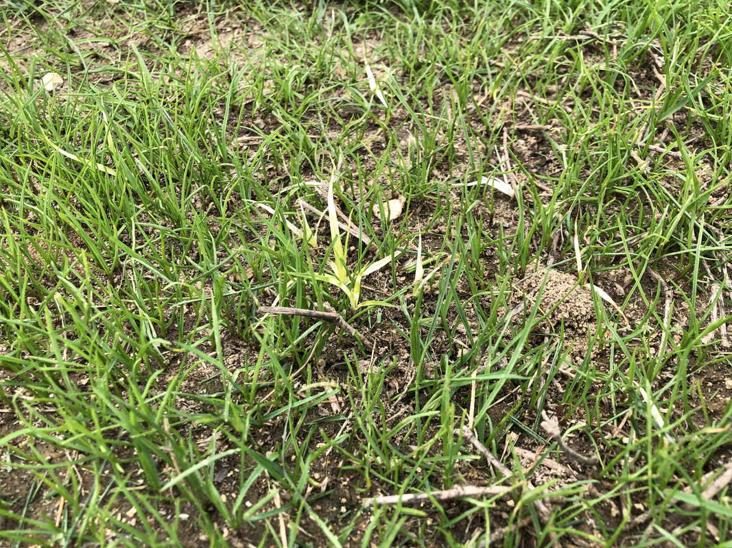 2FAB9FE5-E221-48C0-86E4-8E33464C2EA2