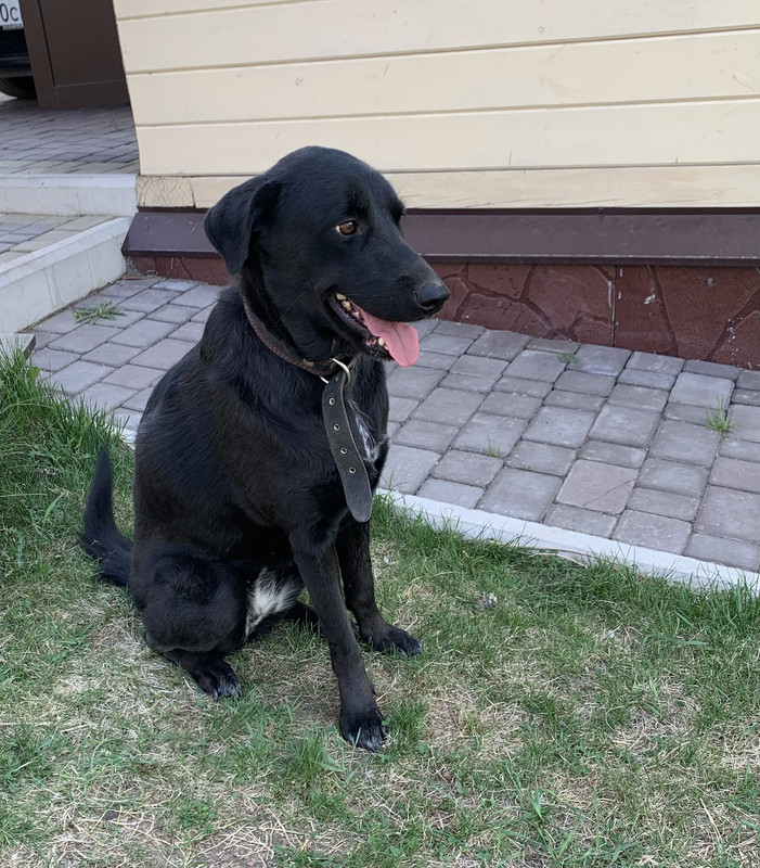 86FF2236-68B8-4DEB-850D-A8A5A040B7E9