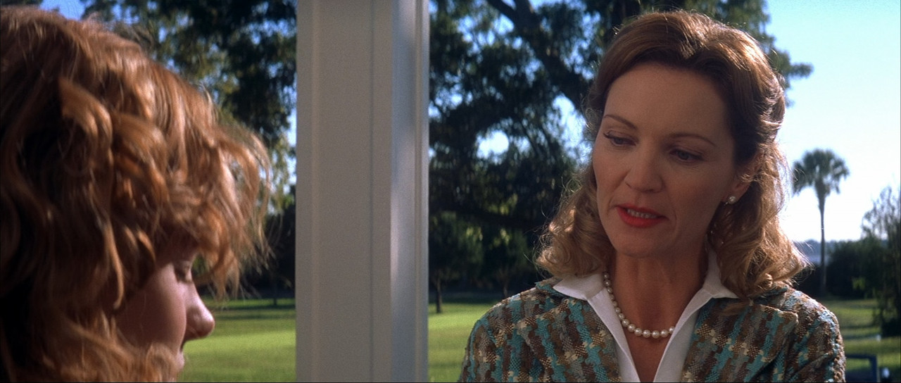 The Notebook (2004).mkv_snapshot_01.30.18_[2018.02.19_00.46.02]