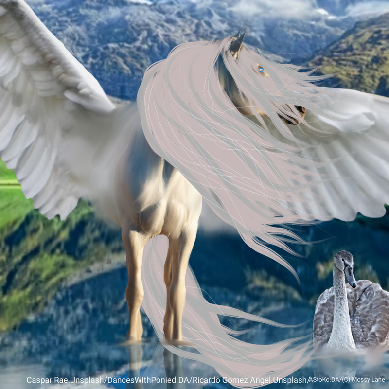 Untitled99-20220219115313.png