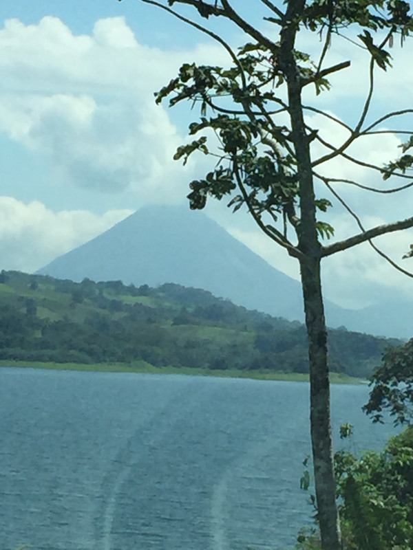 3375909A-B8B1-49DE-9B4F-222FD5ED9FC2