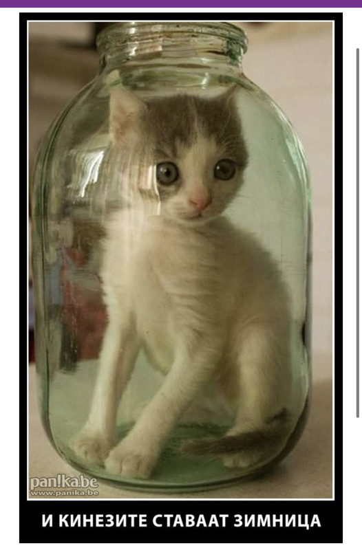 D6EDD8AF-ACAA-4189-BDED-8689C059054E