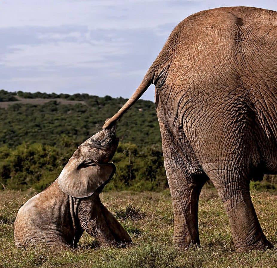 615391073 1203076521929140 5296417693168941113 n