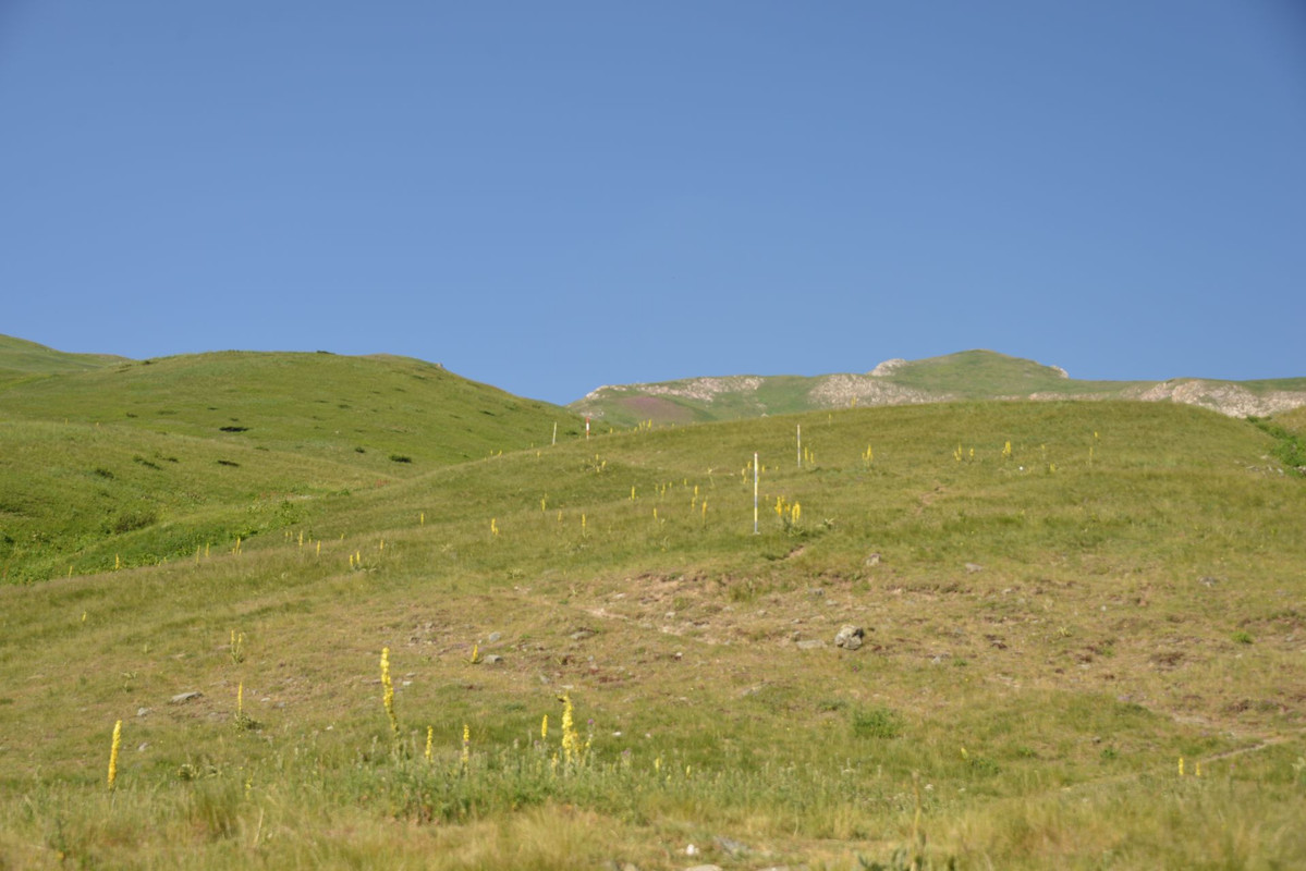 DSC-9437.jpg