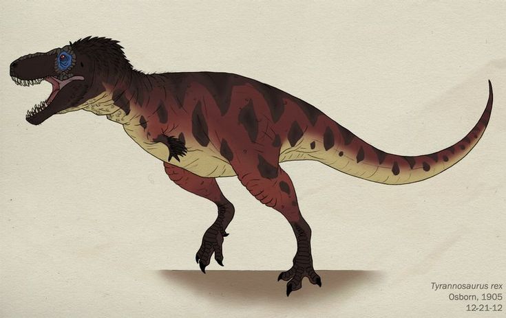 7c0e85d80e3586fcdd6f592020b479ba