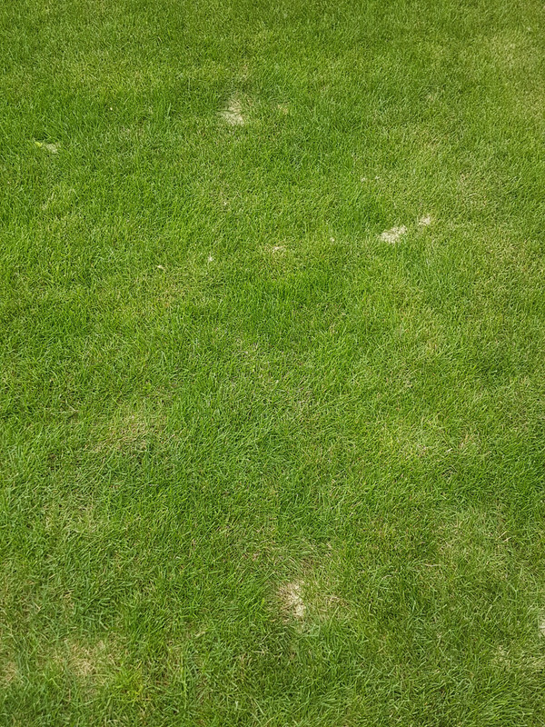 20190730_184108