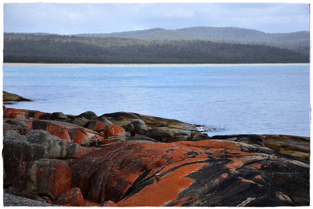 Bay of Fires - Australia (II): Recorriendo Tasmania (9)