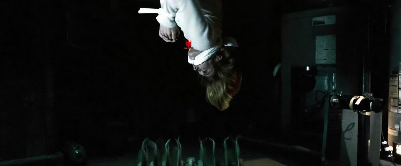 Diane Lane 13 - Untraceable 2008