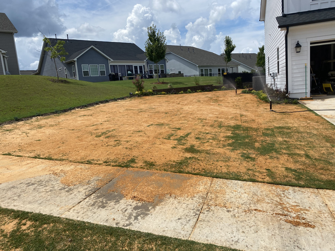 75F1081D-2214-4A64-9351-BB3F0A424D3F