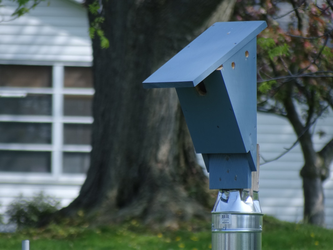 B1CAADF2-F6D9-4ED1-908E-5F10D3033CDC