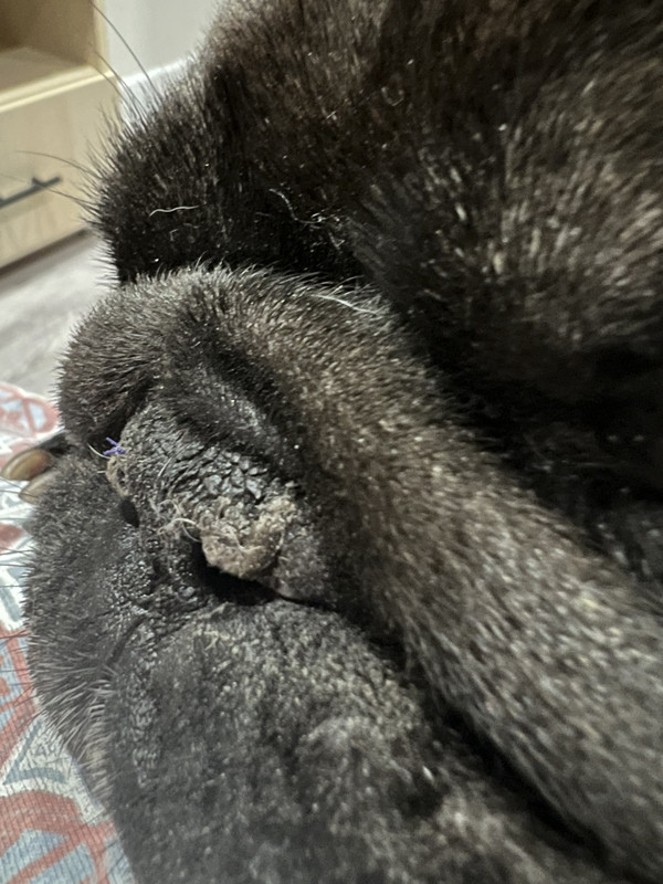 873DC5D3-95D7-4117-8D96-DE0A13986E00