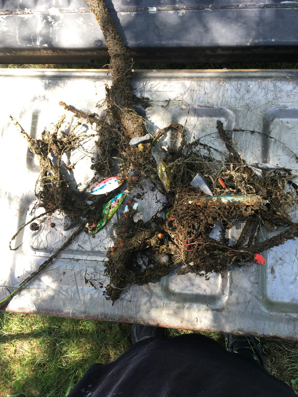 493024A8-59C9-42AF-BCAC-1AFC43A955BF