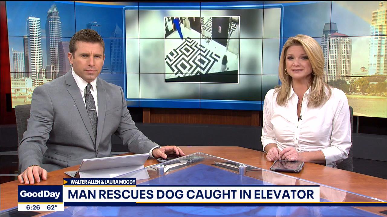 01 January - 11.00.00 - Good Day Tampa Bay @ 6AM. Local news, sp